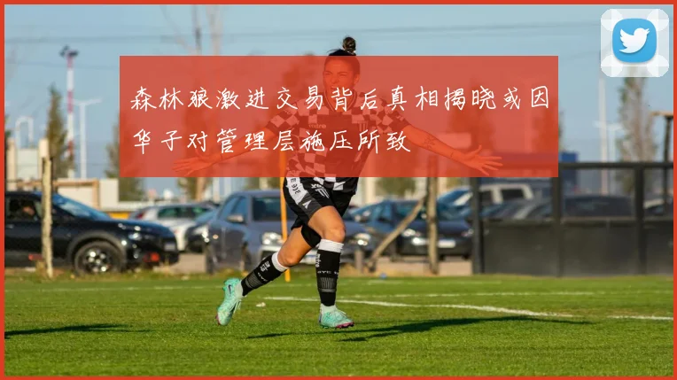 森林狼激进交易背后真相揭晓或因华子对管理层施压所致