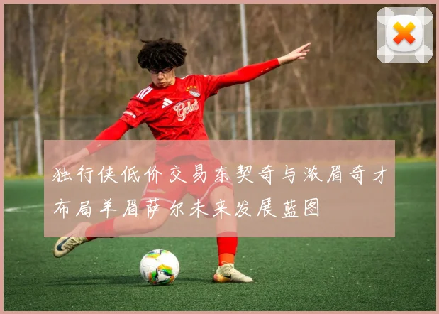 独行侠低价交易东契奇与浓眉奇才布局羊眉萨尔未来发展蓝图