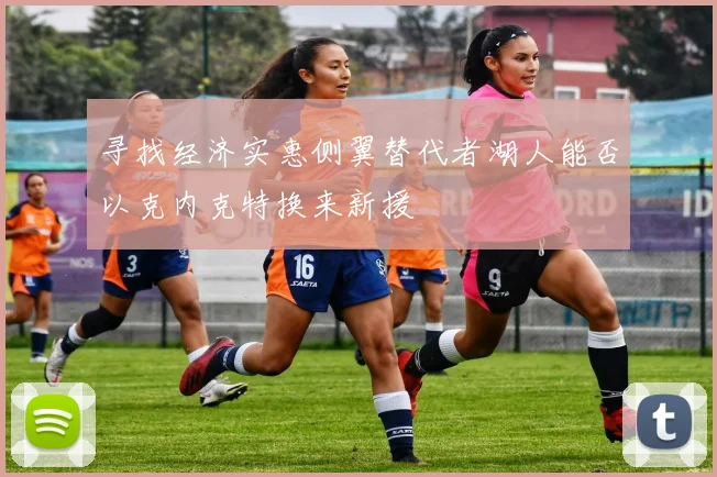 寻找经济实惠侧翼替代者湖人能否以克内克特换来新援